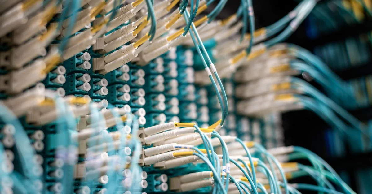 Image détaillée de câbles à fibre optique bleus dans un centre de données avec des connexions d'équipement.